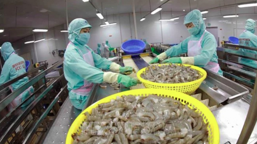 Shrimp companies seek to maintain exports in H2 amid fierce competition